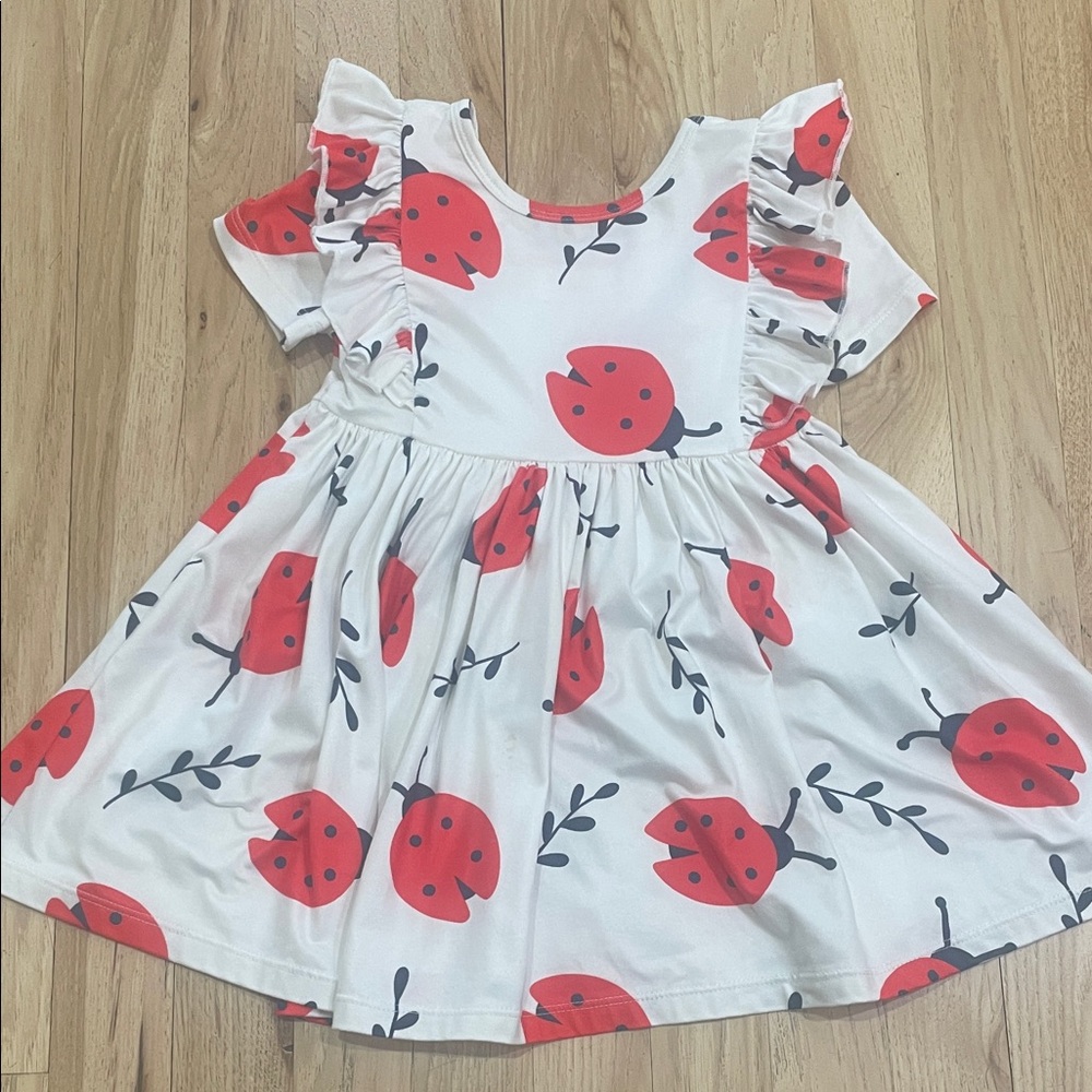 Mila & Rose Adorable Red and White Kids Dress size 3t